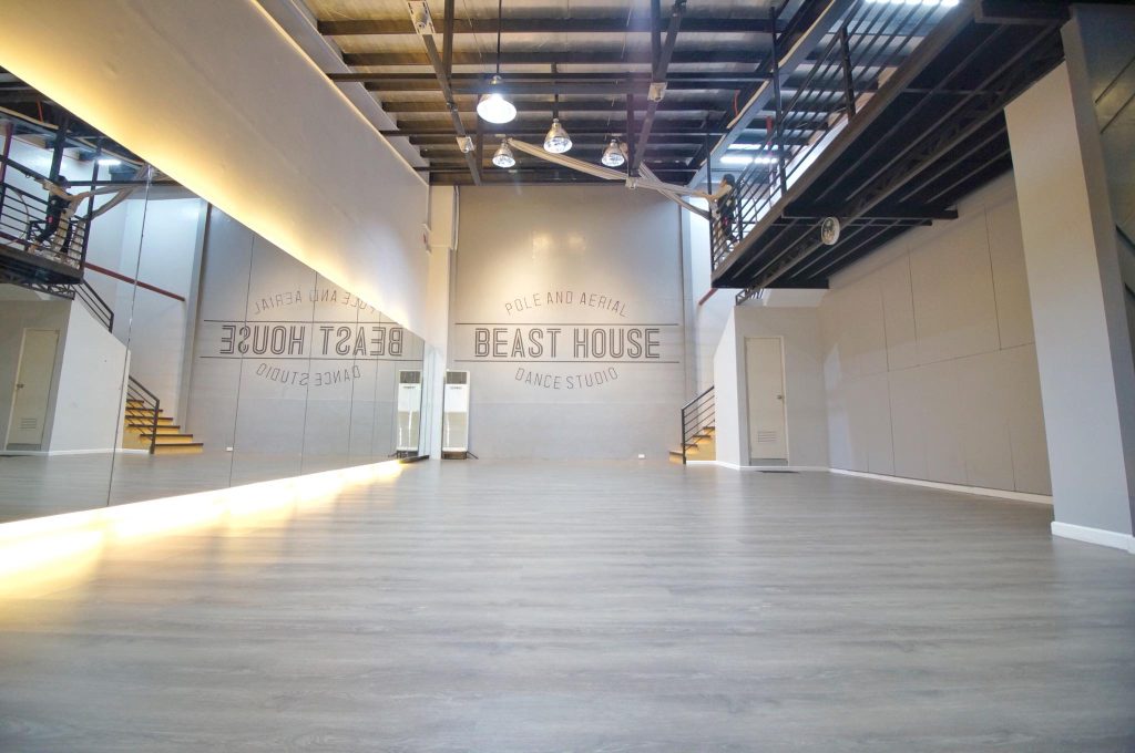 spacious beast house studio